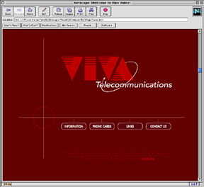 VIVA Telecommunications